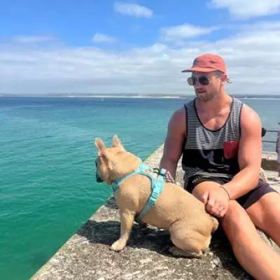 Carpenter Quits Job After His French Bulldog Becomes Family Breadwinner