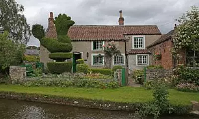 Century-Old Topiary Cockerel Felled in Yorkshire Village Sparks Mixed Reactions