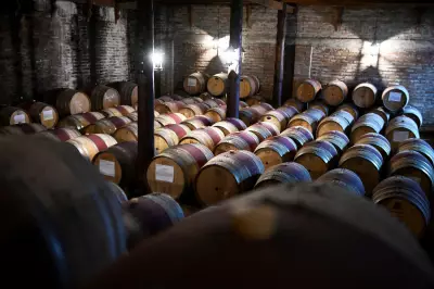 Chilean Wine Industry Targets Younger Drinkers Amid Global Consumption Slump