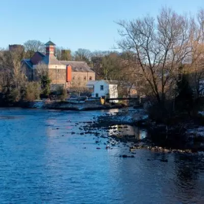Cockermouth Crowned UK's Most Dog-Friendly Town with Scenic Walks