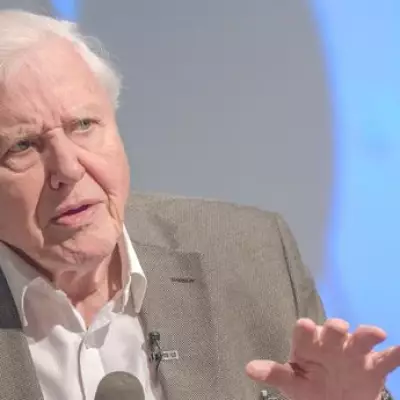 David Attenborough's Colleague Reveals 'Brilliant' Centenarian's Secret