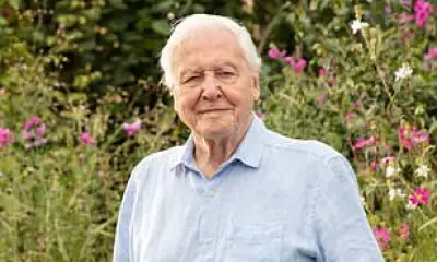 David Attenborough's 'Secret Garden' Captivates BBC Viewers with British Wildlife Drama