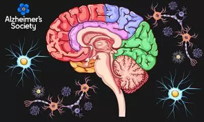 Dementia Brain Destruction: Comprehensive Guide to Symptoms and Warning Signs