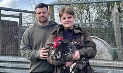 Durham's Cockerel Ban Sparks Outrage Among Allotment Holders