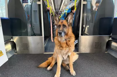 EU Pet Passports, War Insurance, EES Entry, and Train to Istanbul: Travel Q&A