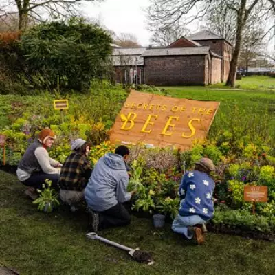 Expert Biologist Reveals Five Simple Steps to Create a Bee-Friendly Garden in the UK