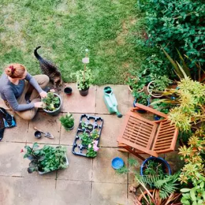 Expert Reveals 5 Essential Gardening Jobs for May Bank Holiday
