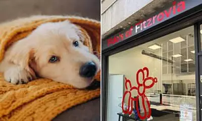 Fitzrovia Dog Hotel Plan Divides Locals Over Noise and Disturbance Fears