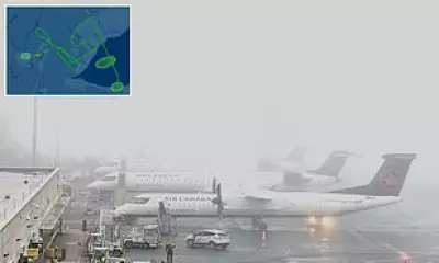 Fog Diverts WestJet Flight, Trapping Passengers on Tarmac for Eight Hours