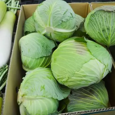 Forget Boiling: The Braised Cabbage Method That Unlocks Sweetness