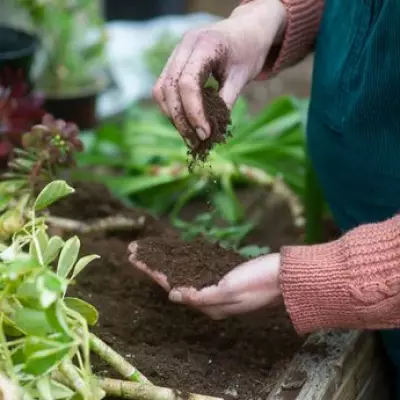 Gardening Expert Reveals One-Minute Layout Trick for Stunning Spring Gardens