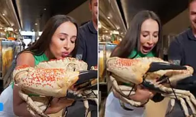 Giant Crab Attacks Today Show Reporter Live on Air at Sydney Fish Markets