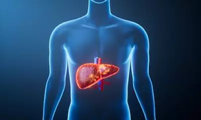 Global Liver Disease Crisis: 1.8 Billion Predicted Cases by 2050