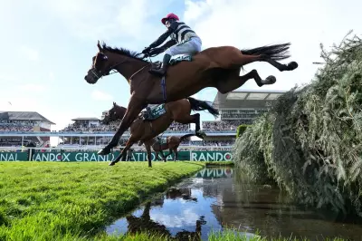 Grand National Veterinary Updates: Three Horses Assessed After Race Incidents
