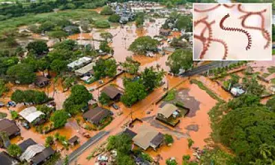 Hawaii Flood Waters Harbor Deadly Bacteria, Health Officials Issue Urgent Warning