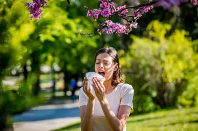 Hay Fever vs. Cold: Experts Reveal Key Symptom Differences