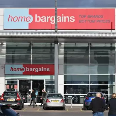 Home Bargains' £4 Magnetic Insect Screen Offers Bug-Free Summer Solution