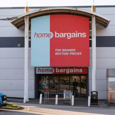Home Bargains' £9.99 Wall Basket Adds Vibrant Colour to Gardens with Zero Maintenance