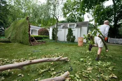 Homeowner Fined $50,000 for Trimming Trees on Insurance Mandate