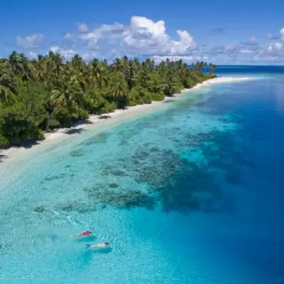 Honeymoon Shark Attack in Maldives Leaves Spanish Doctor Fighting for Life