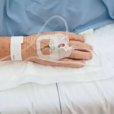 Hospital Admissions Double as UK's 'Most Dangerous Spider' Population Explodes