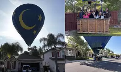 Hot Air Balloon Makes Emergency Landing in California Couple's Backyard