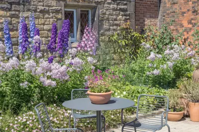 How to Create a Cottage Garden in a Small Space: Expert Tips