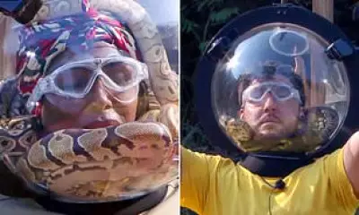 I'm A Celeb Trial Sees Seann Walsh and Sinitta Face Snakes in Helmets