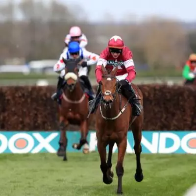 Jockey Paul Townend Explains Fatal Injury to Gold Dancer After Aintree Win