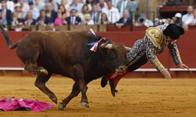 Matador Morante de la Puebla Recounts 'Excruciating' Bull Gore Injury