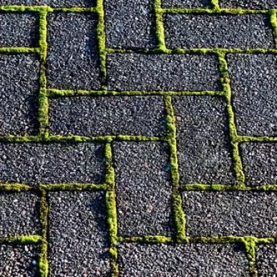 Moss-Free Patios for Just £3.30: A Safer Alternative to Pressure Washing