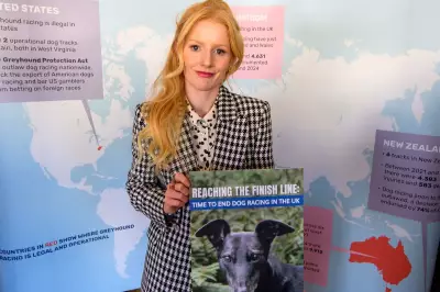 MPs Urged to Ban Greyhound Racing as England Lags Behind Global Trend
