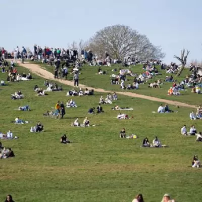Murder Investigation Launched After Fatal Stabbing in Primrose Hill