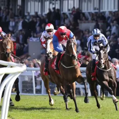 Newsboy's Horse Racing Tips: The Gay Blade and Rosenpur Lead Wednesday Selections