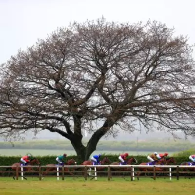 Newsboy's Thursday Racing Tips: Tees Aggregates Nap at Beverley