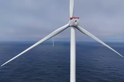Offshore Wind Farms Expand Off Rhode Island Despite Trump Opposition
