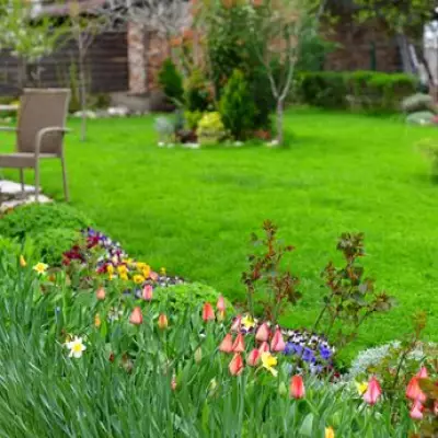 One Essential April Gardening Task for a Perfect Summer Lawn
