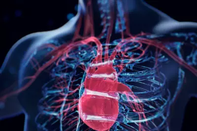 Oxford AI Tool Predicts Heart Failure Risk Five Years Early with 86% Accuracy