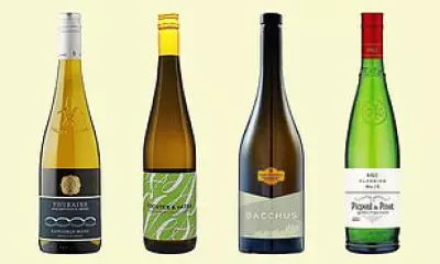 Perfect Wine Pairings for Asparagus Season: Four Expert Picks