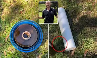 Plumber's Viral Video Shows 12 Months of Sludge in Water Filter
