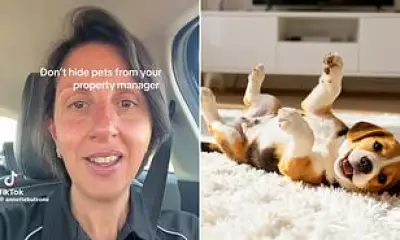 Property Manager Confronts Tenant Over Puppy Found on Social Media