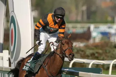 Reigning Champion Nick Rockett Withdrawn from Grand National Race