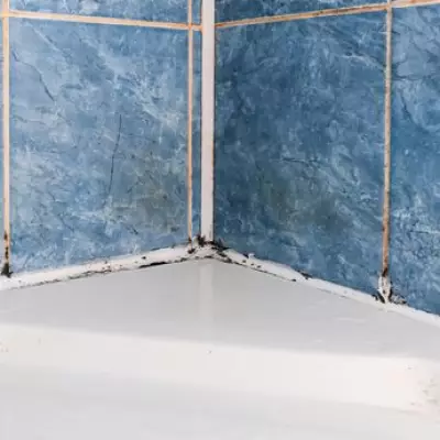 Remove Black Mould from Sealants in 5 Minutes with Baking Soda