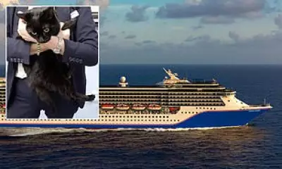 Sailor and Cat Rescued by Cruise Ship After Four Days Adrift in Gulf of Mexico