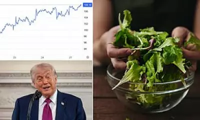 Salad Prices to Rise as Middle East Chaos Drives Up Energy Costs