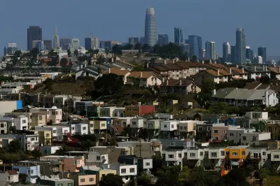 San Francisco Homeowner Fined $50K for Trimming Trees on Insurance Advice