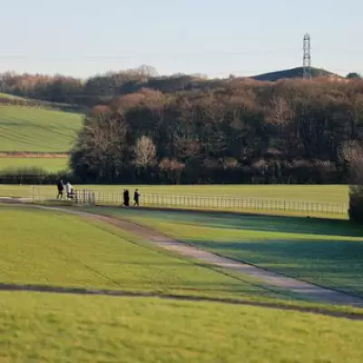 Schoolgirl Lures Boy to Park for Brutal Stabbing Attack by Accomplices