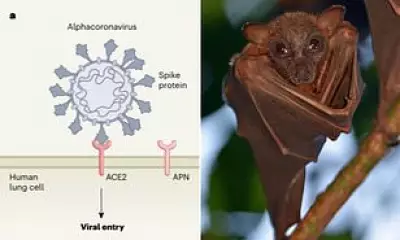 Scientists Discover Bat Coronavirus with Pandemic Potential in East Africa