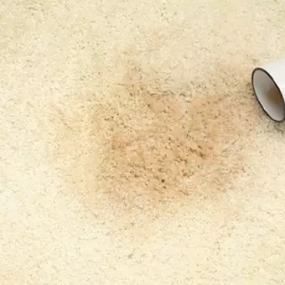 Shaving Foam: The Surprising Bathroom Item That Banishes Carpet Stains