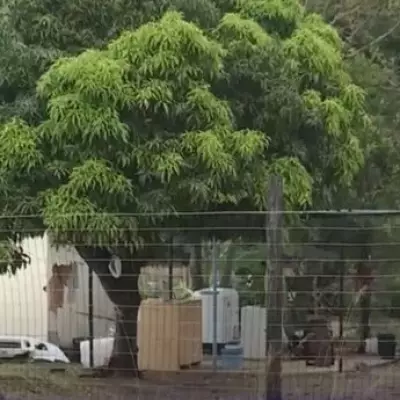 South African Family of Seven Kidnapped and Executed in Brutal Crime Spree